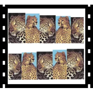 Stickers No166 Stickers No166