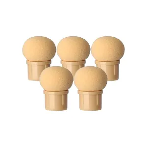 Eponge Boule pour Gradiant Sponge Brush (x5)
