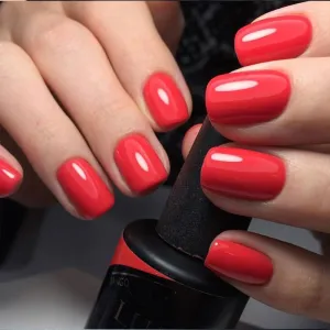 Luxio Tango 15ml Luxio Tango 15ml