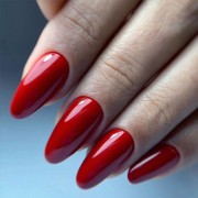 Gel Polish 50 Royal Red Gel Polish 50 Royal Red