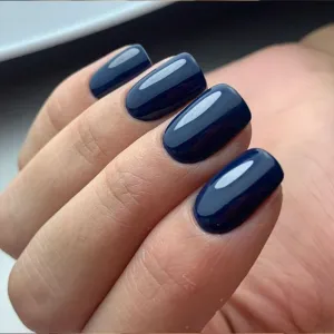 Gel Polish 79 In The Navy