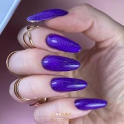 Gel Polish Moonlight Disco 921 Purple Dragon Gel Polish Moonlight Disco 921 Purple Dragon