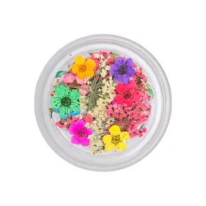 Mix Flowers 2 Mix Flowers 2