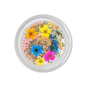 Mix Flowers 1 Mix Flowers 1